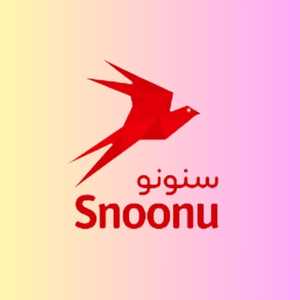 Snoonu food delivery service in Qatar, with a delivery rider holding a bag of food in front of a city skyline.